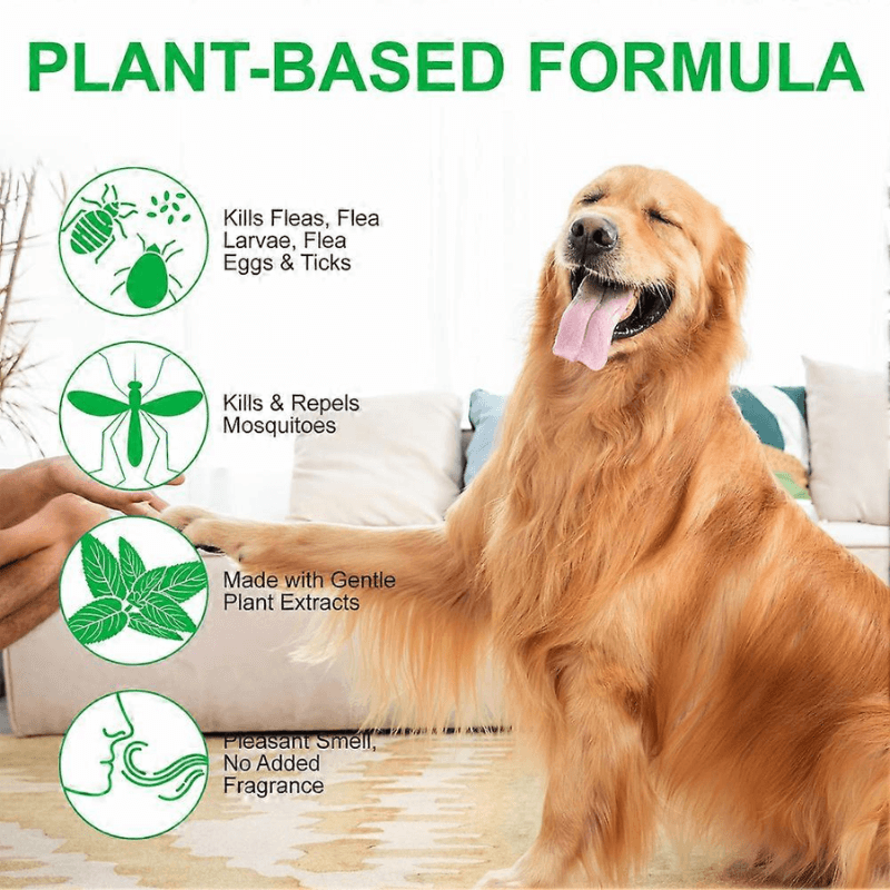 Natural Flea & Tick Spray