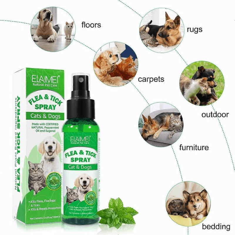 Natural Flea & Tick Spray
