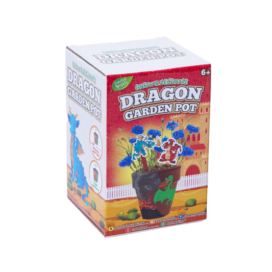 Grow & Decorate Your Own Dragon Flower Pot