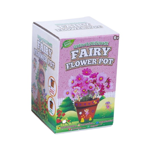 Grow & Decorate Your Own Fairy Flower Pot